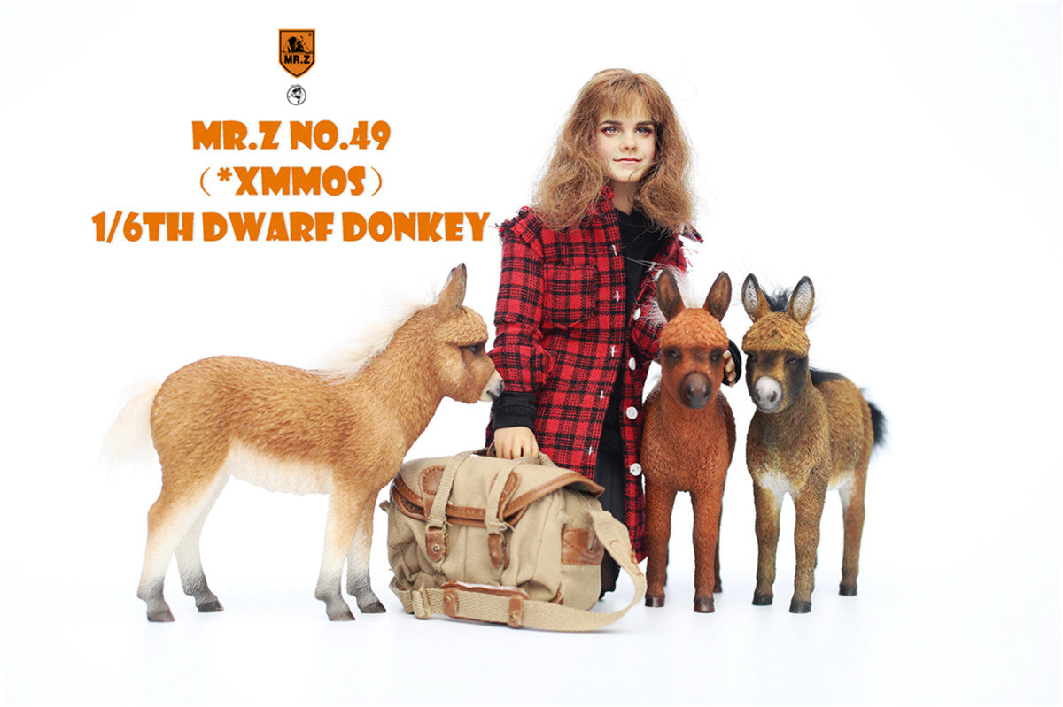 Mr.Z 1/6 Dwarf Donkey Figure