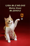 Mr.Z 1/6 Maine Coon Cat Figure