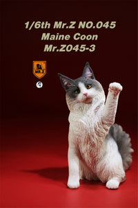 Mr.Z 1/6 Maine Coon Cat Figure