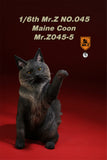 Mr.Z 1/6 Maine Coon Cat Figure