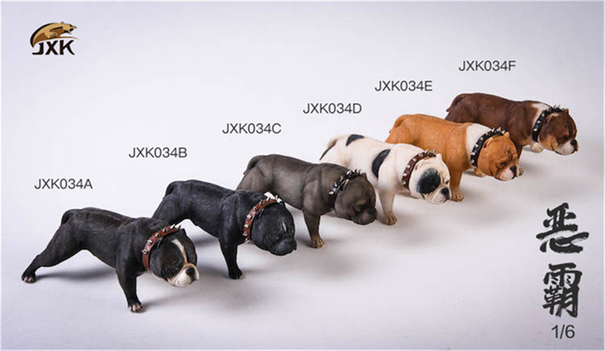 JXK 1/6 American Bully pitbull Dog Model