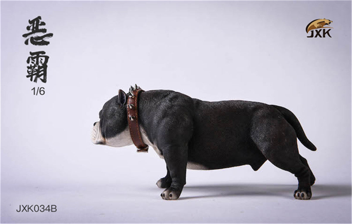 JXK 1/6 American Bully pitbull Dog Model