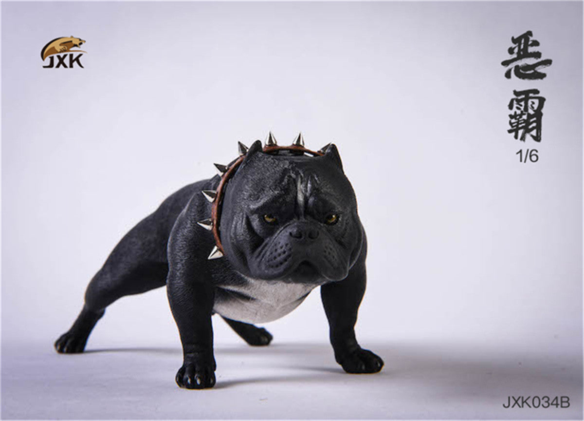 JXK 1/6 American Bully pitbull Dog Model
