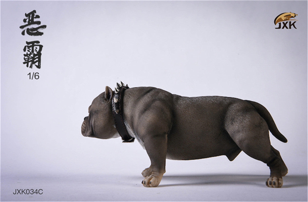 JXK 1/6 American Bully pitbull Dog Model