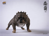 JXK 1/6 American Bully pitbull Dog Model