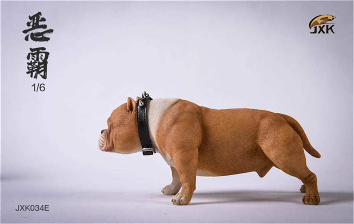 JXK 1/6 American Bully pitbull Dog Model