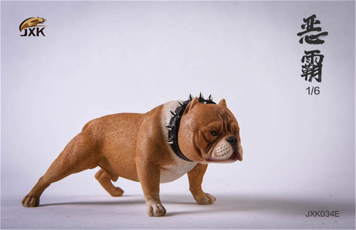 JXK 1/6 American Bully pitbull Dog Model