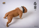 JXK 1/6 American Bully pitbull Dog Model
