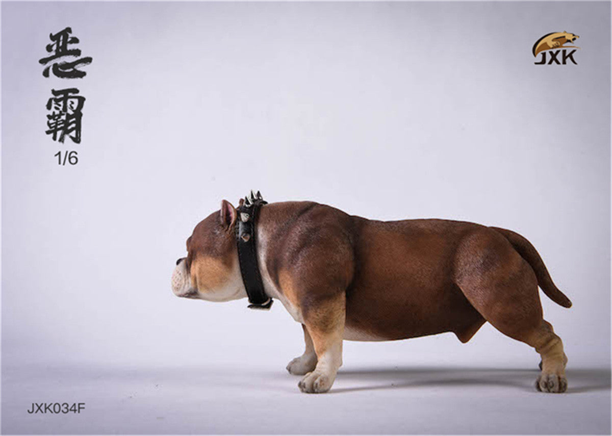 JXK 1/6 American Bully pitbull Dog Model