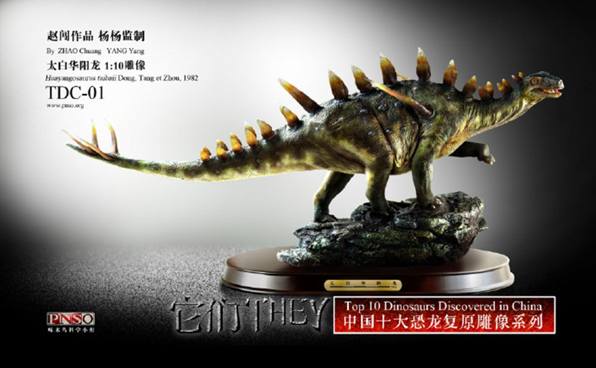PNSO 1/10 Huayangosaurus taibaii dong Model