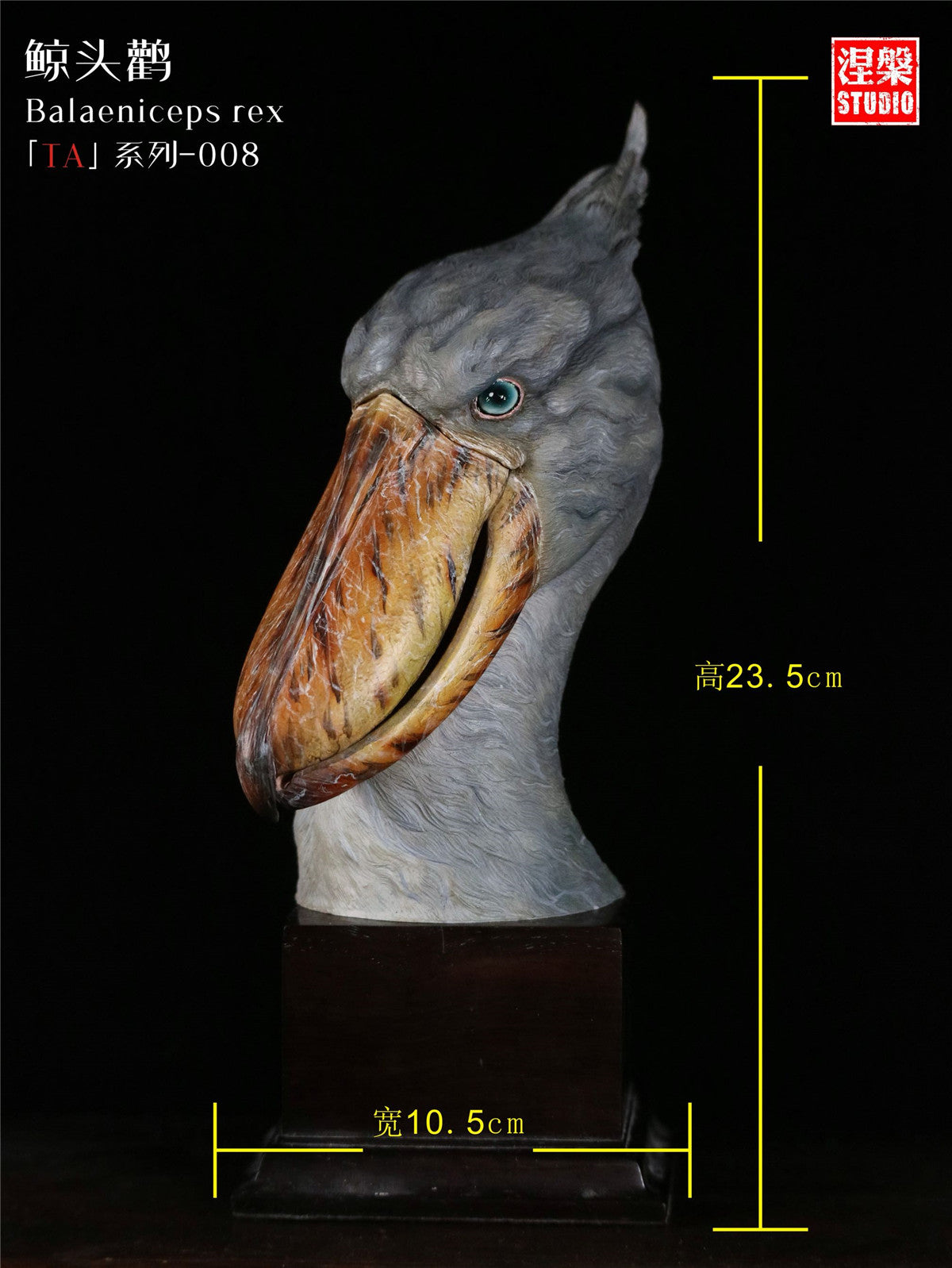 Balaeniceps Rex Model