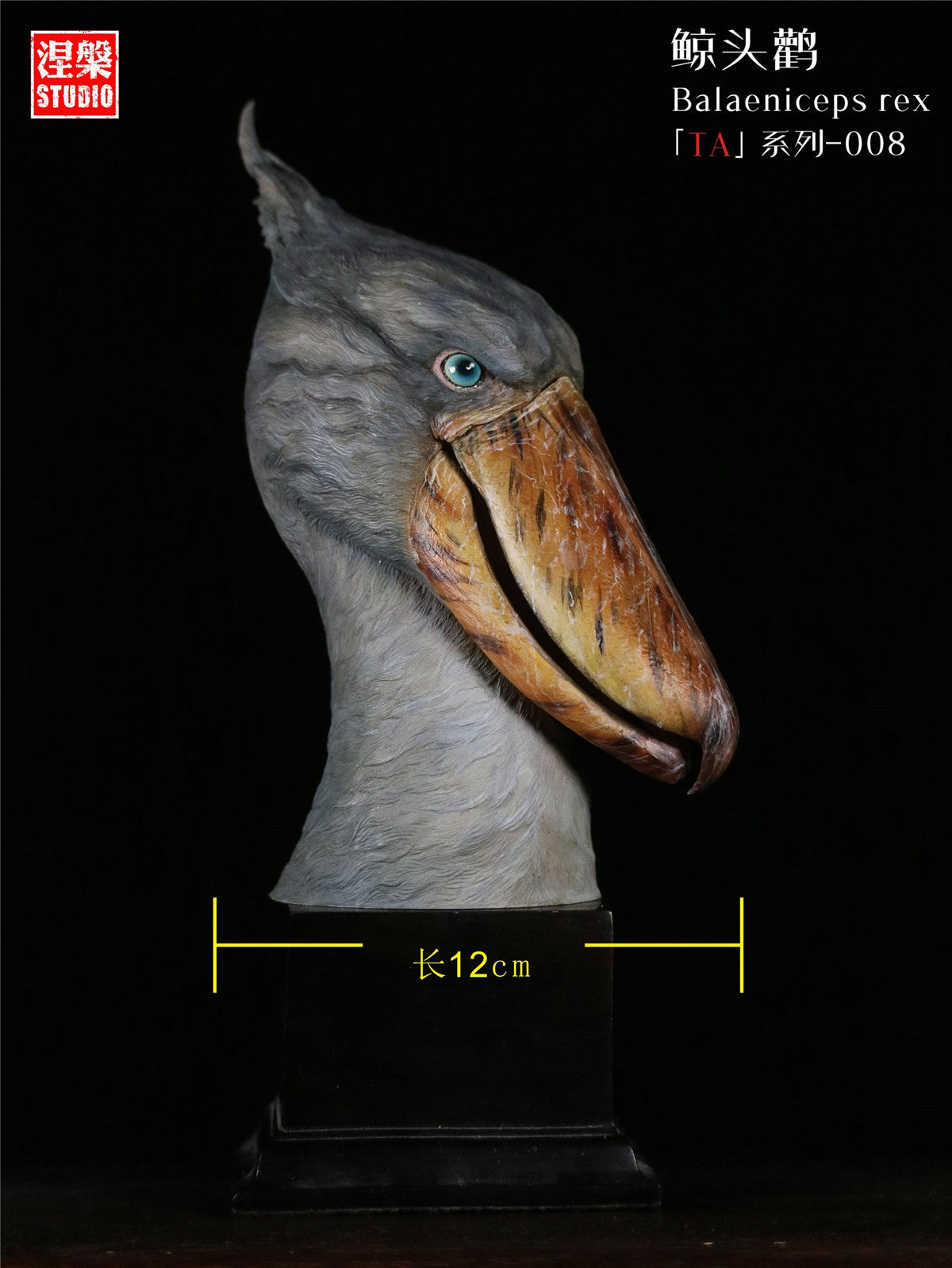 Balaeniceps Rex Model