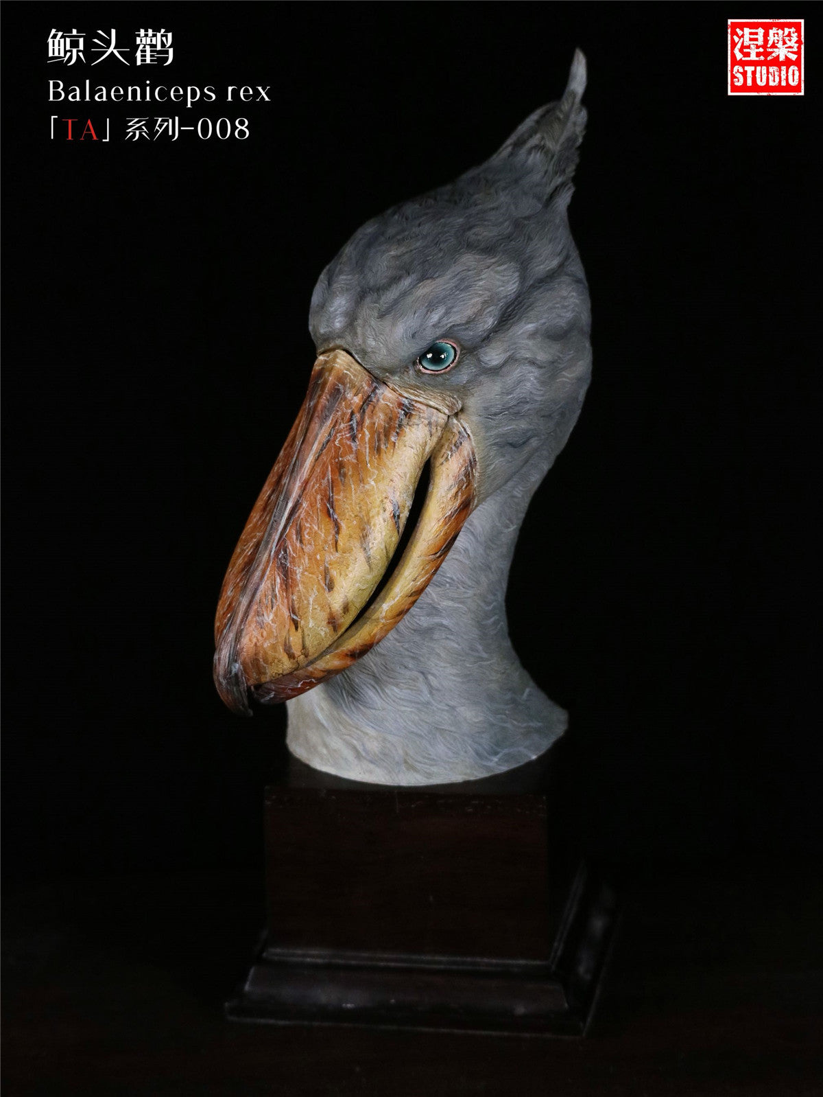 Balaeniceps Rex Model