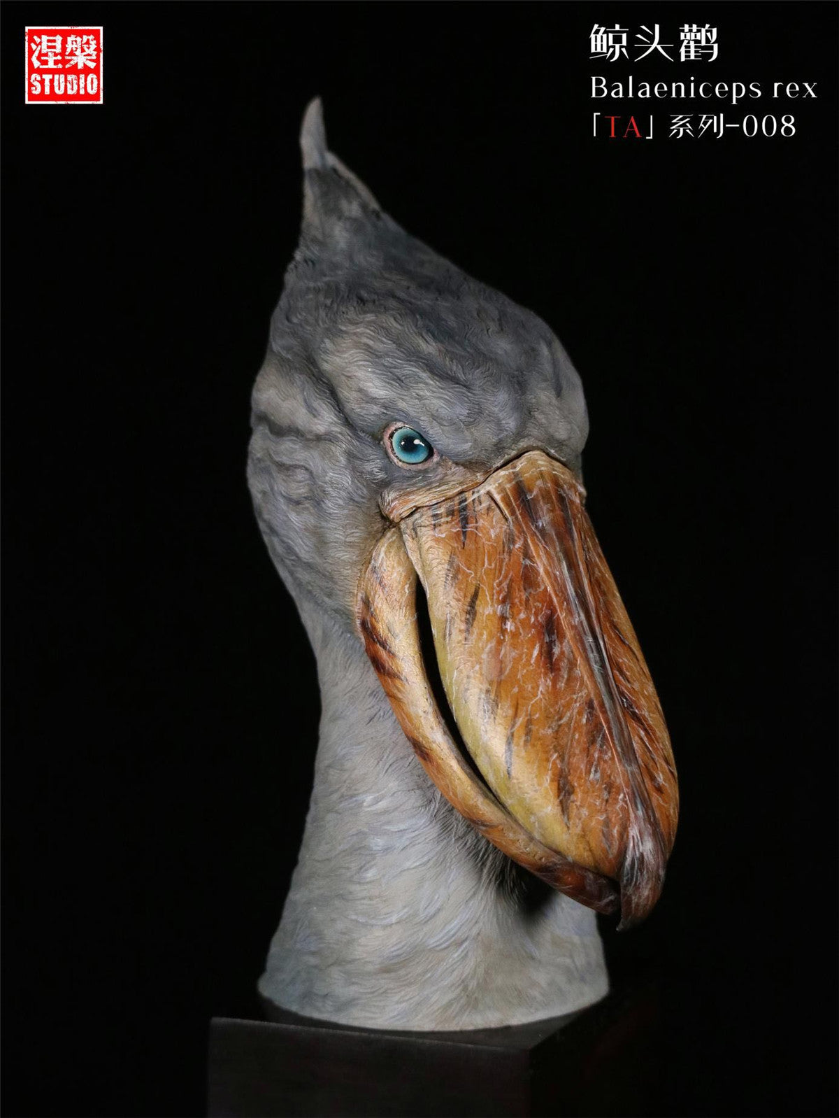 Balaeniceps Rex Model