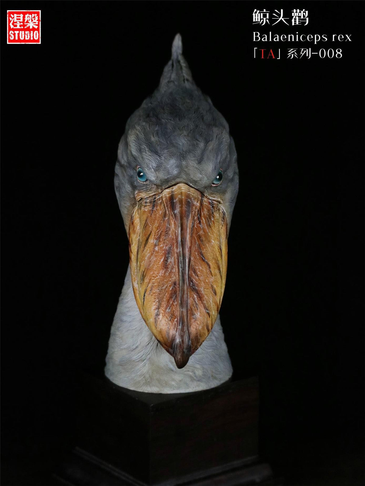 Balaeniceps Rex Model