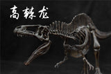 1/20 Acrocanthosaurus Skull Skeleton Model