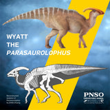 PNSO Parasaurolophus Wyatt Model