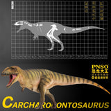 PNSO Carcharodontosaurus Model