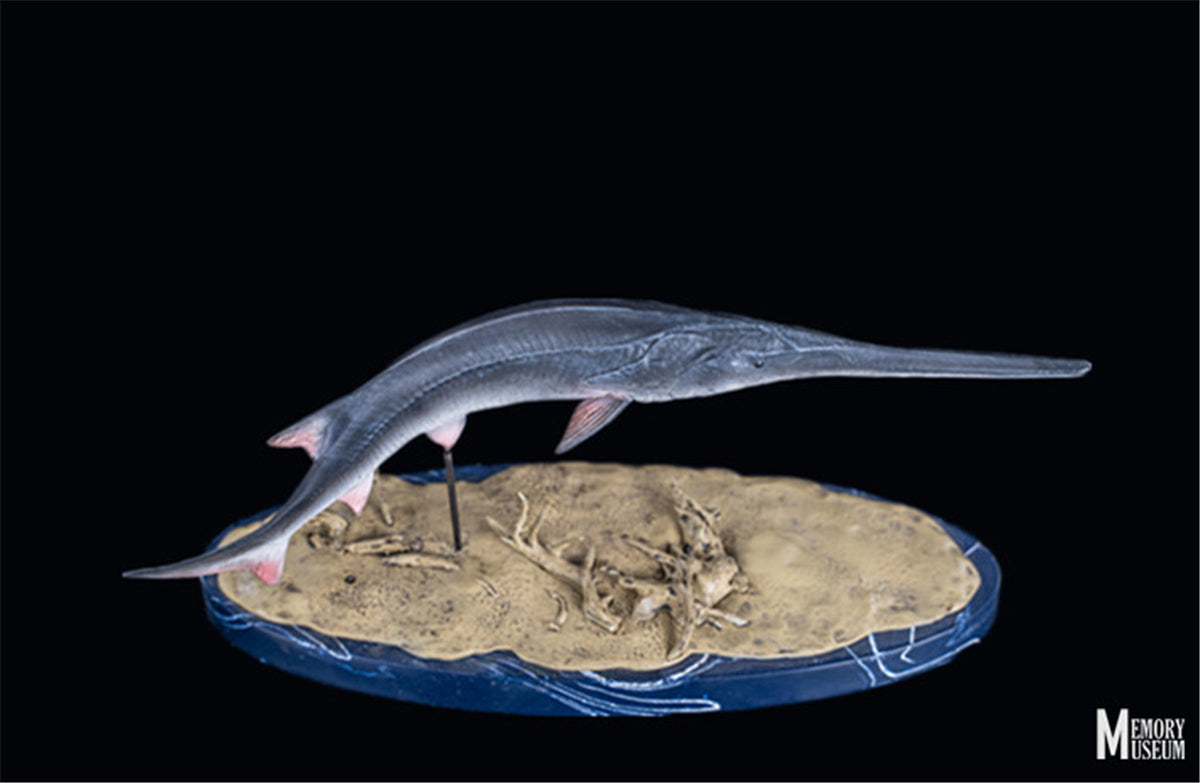 Memory Museum x Really Modeling 1/15 Paddlefish Statue