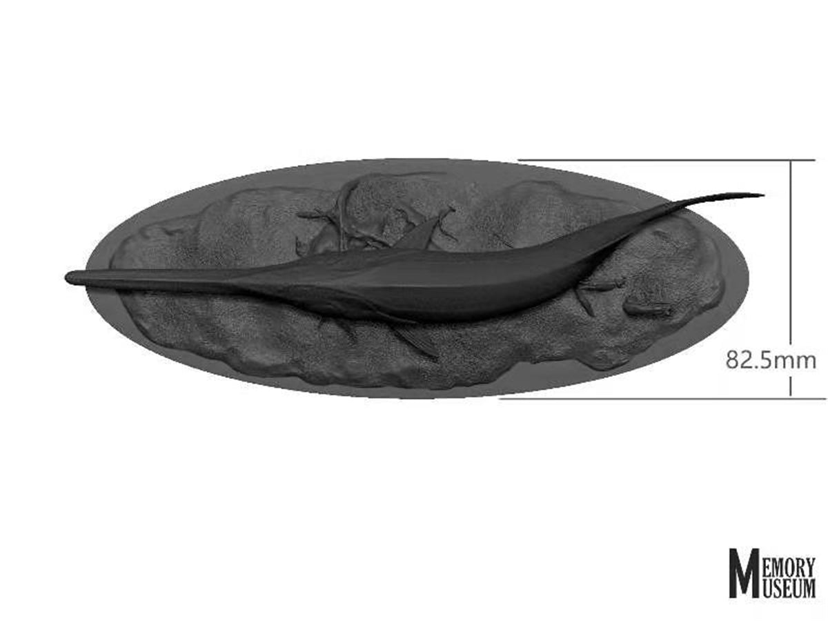 Memory Museum x Really Modeling 1/15 Paddlefish Statue