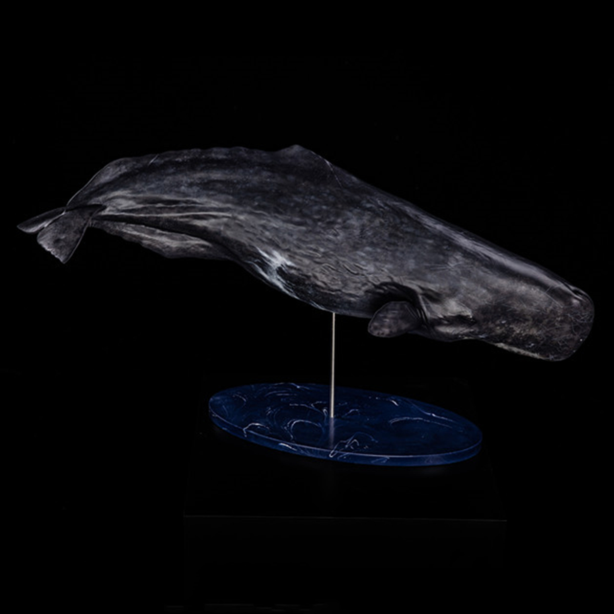 Memory Museum x Bill Wieger 1/15 Sperm Whale Statue