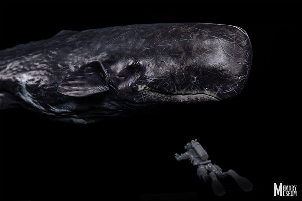 Memory Museum x Bill Wieger 1/15 Sperm Whale Statue
