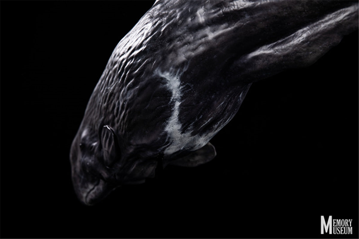 Memory Museum x Bill Wieger 1/15 Sperm Whale Statue