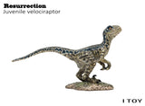 ITOY Juvenile Velociraptor Model