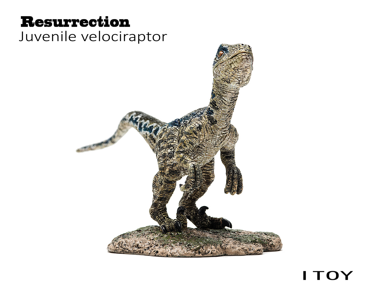 ITOY Juvenile Velociraptor Model