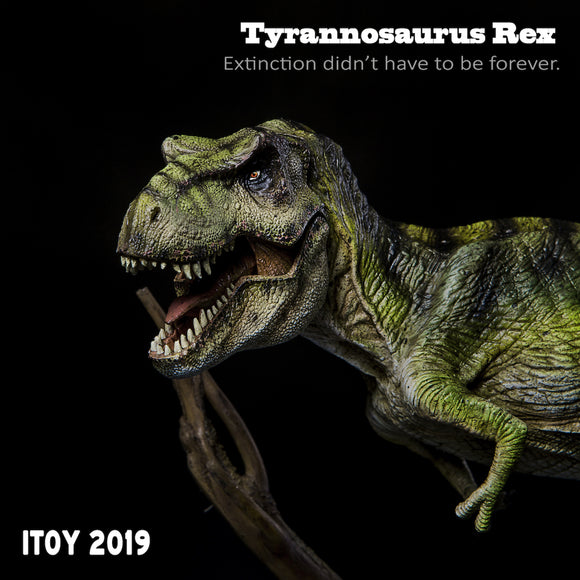 ITOY 1/35 Green Tyrannosaurus Rex Model