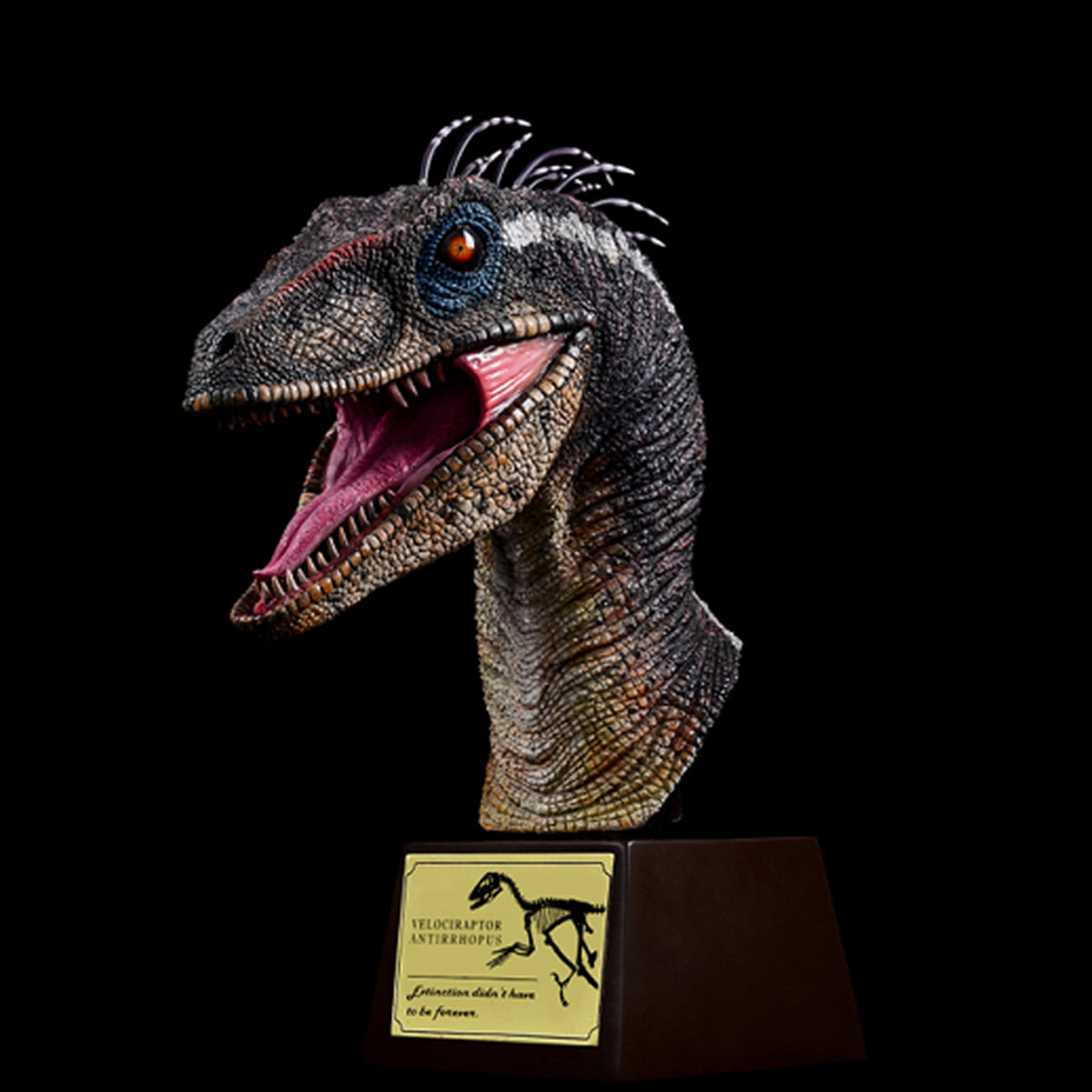 ITOY Male Velociraptor Head Bust Model