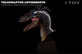 ITOY Male Velociraptor Head Bust Model