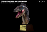 ITOY Male Velociraptor Head Bust Model