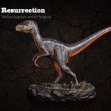 ITOY Velociraptor Model