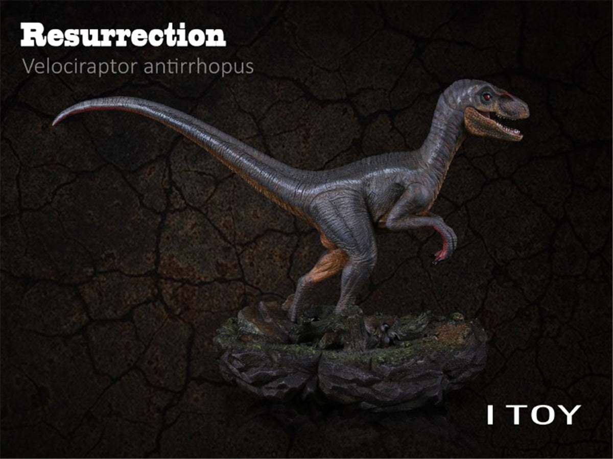 ITOY Velociraptor Model