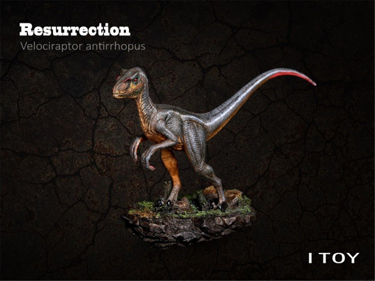 ITOY Velociraptor Model