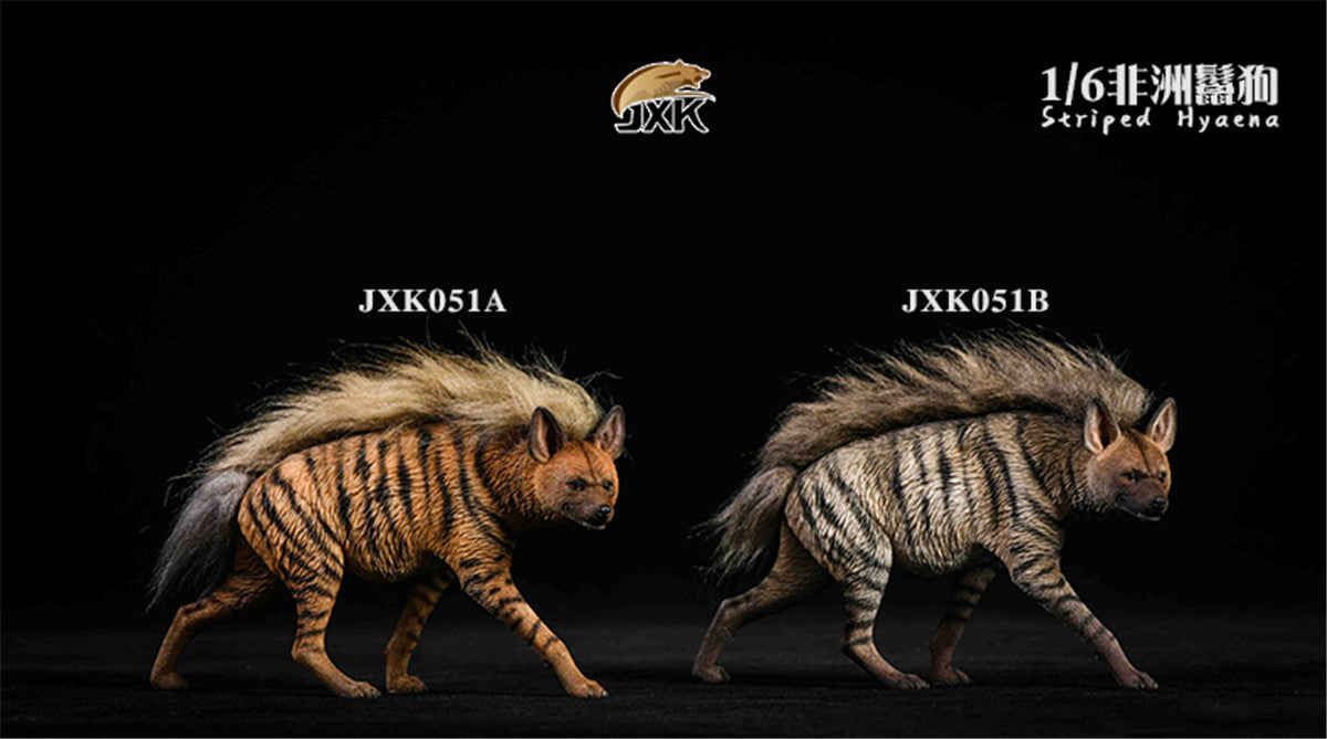JXK 1/6 Africa Striped Hyaena Figure