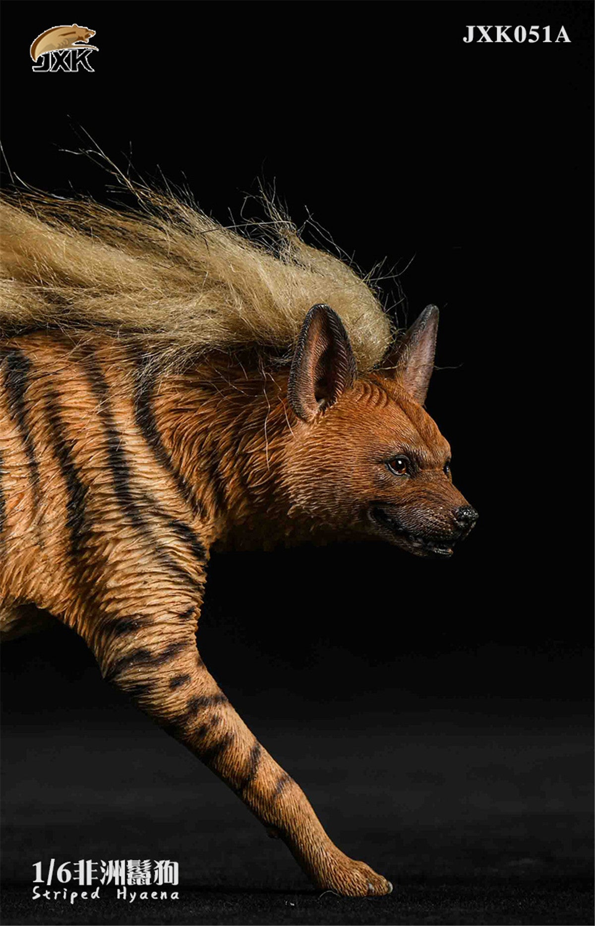 JXK 1/6 Africa Striped Hyaena Figure