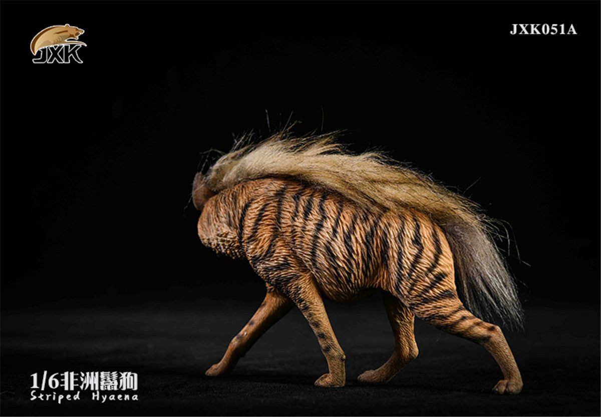 JXK 1/6 Africa Striped Hyaena Figure