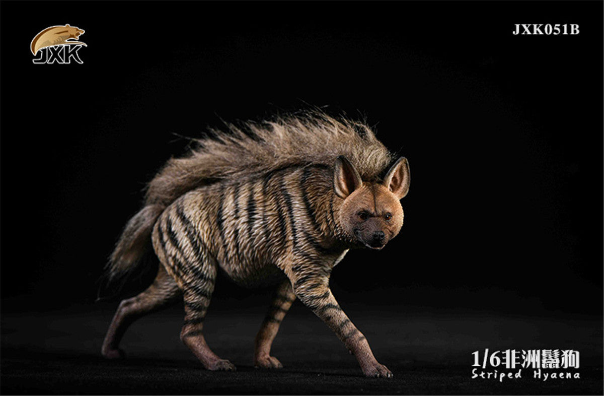 JXK 1/6 Africa Striped Hyaena Figure