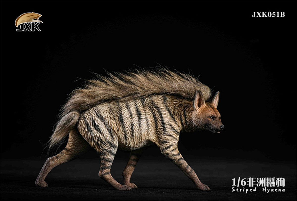 JXK 1/6 Africa Striped Hyaena Figure