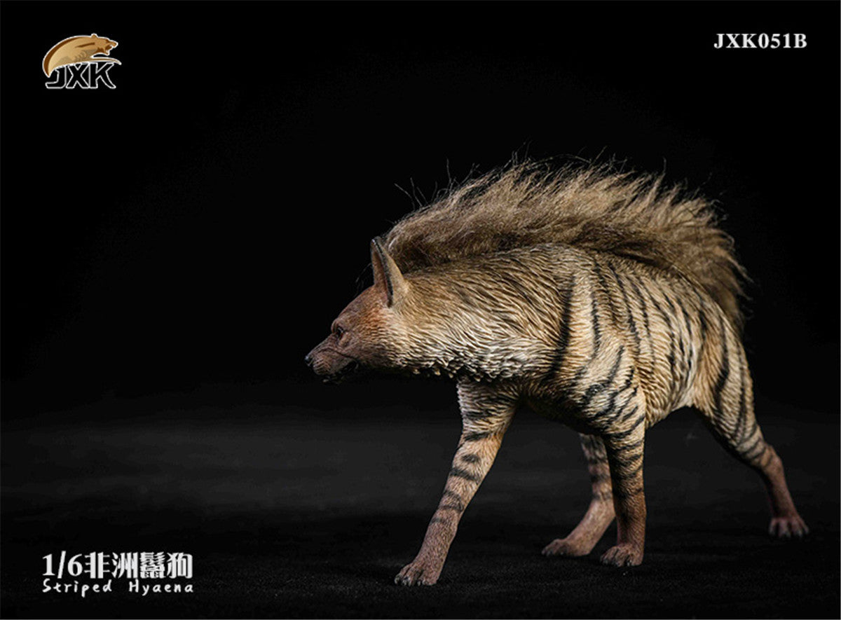 JXK 1/6 Africa Striped Hyaena Figure