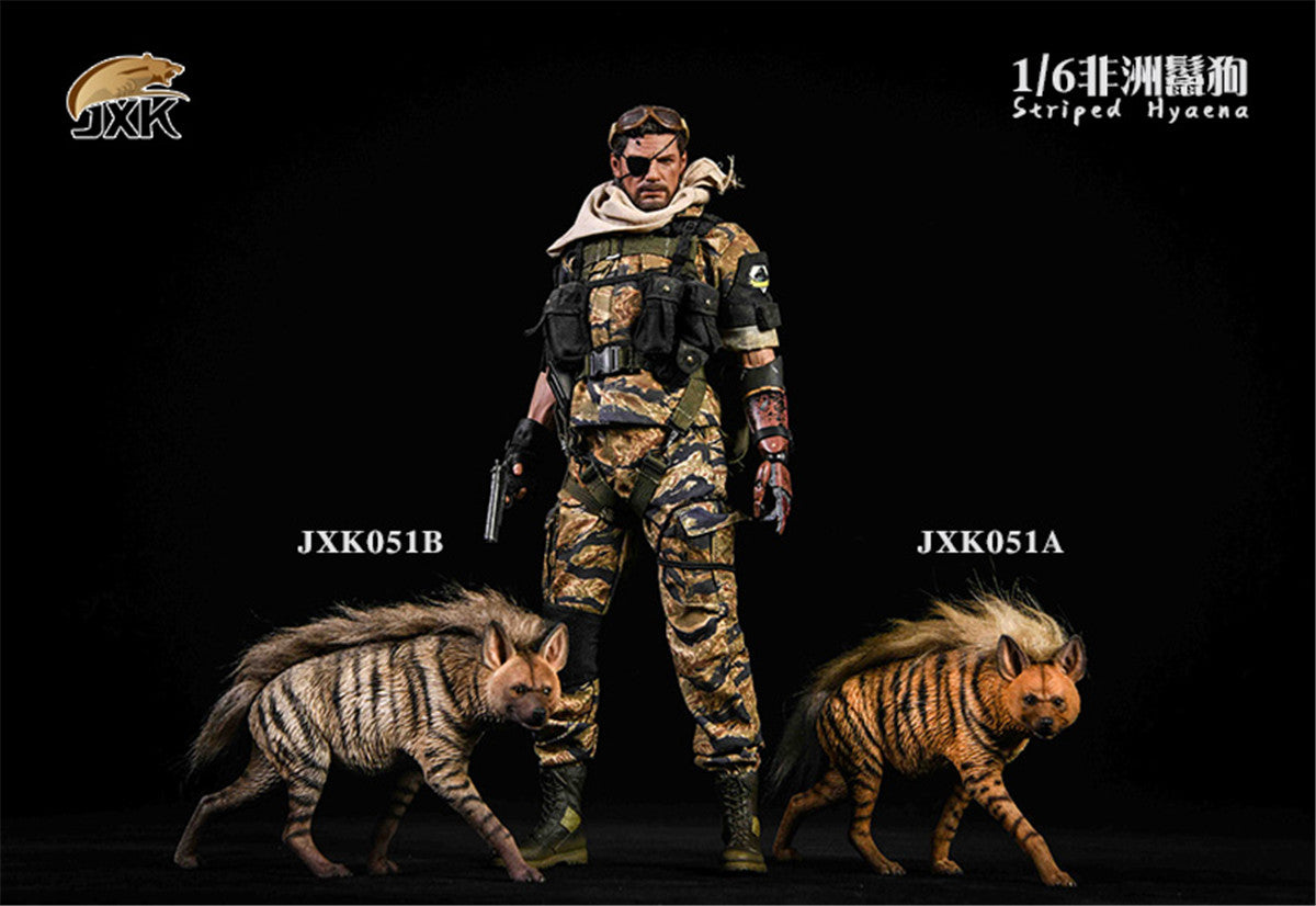 JXK 1/6 Africa Striped Hyaena Figure