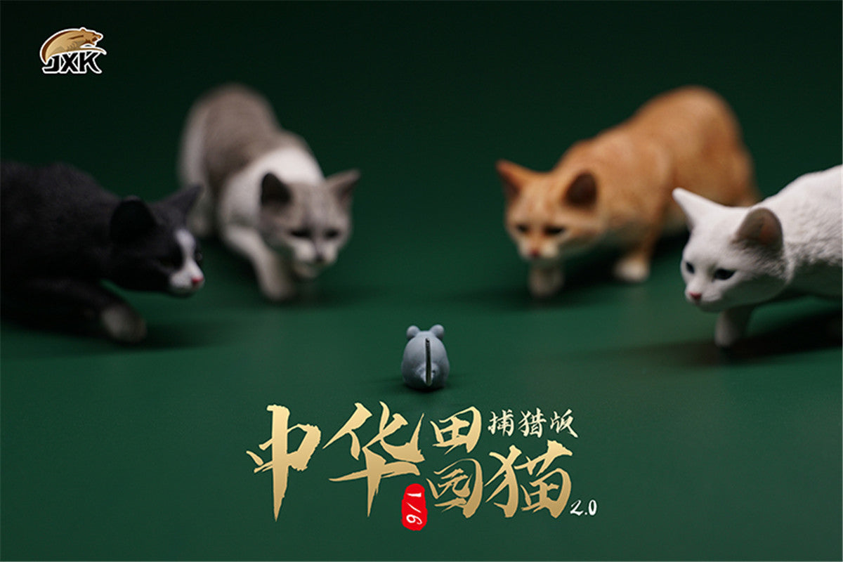 JXK 1/6 Chinese Garden Cat 2.0