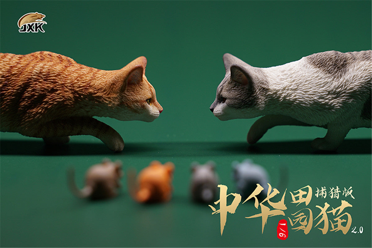 JXK 1/6 Chinese Garden Cat 2.0 – Lana Time Shop