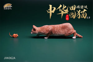 JXK 1/6 Chinese Garden Cat 2.0