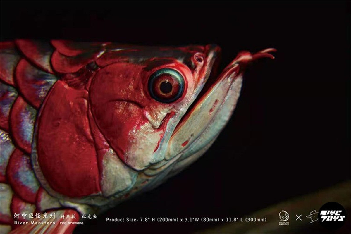 River Monsters Red Arowana Model