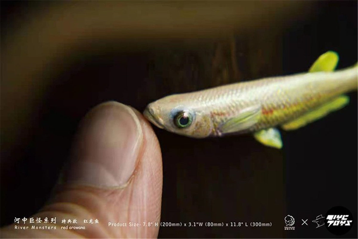 River Monsters Red Arowana Model