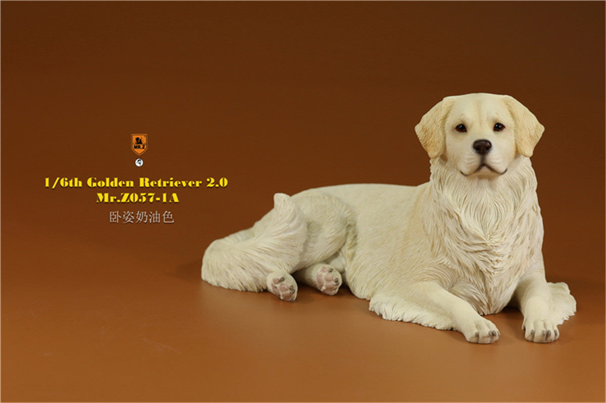 Mr.z 1/6 Golden Retriever Model