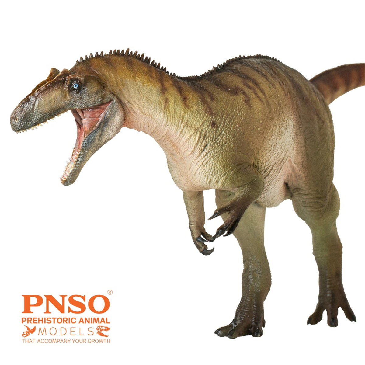 PNSO Allosaurus Paul Model